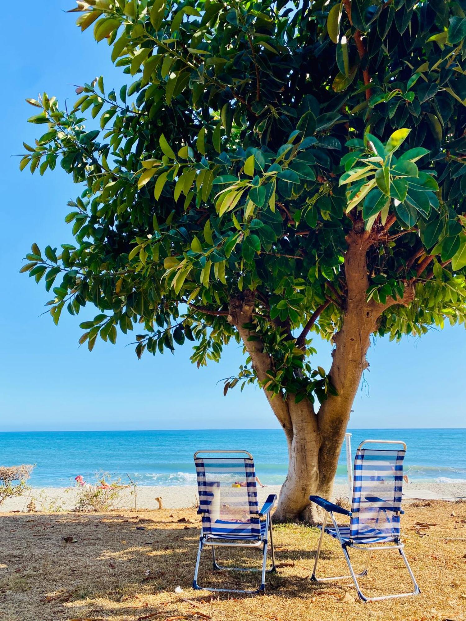 First Line Torrox Costa Apartman Kültér fotó